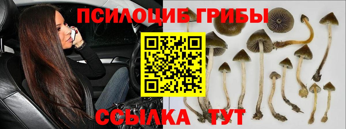 Галлюциногенные грибы GOLDEN TEACHER  Вход с VPN  Чита 