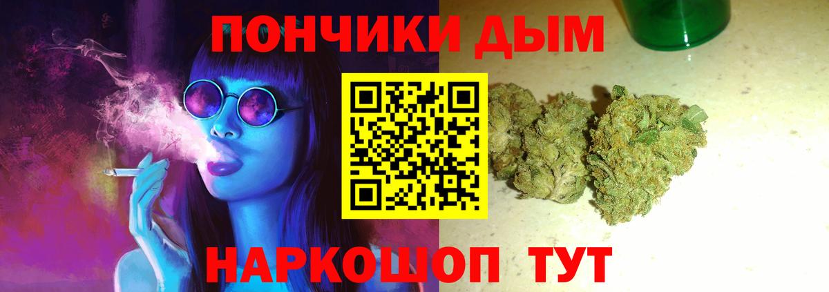 Бошки Шишки семена Чита